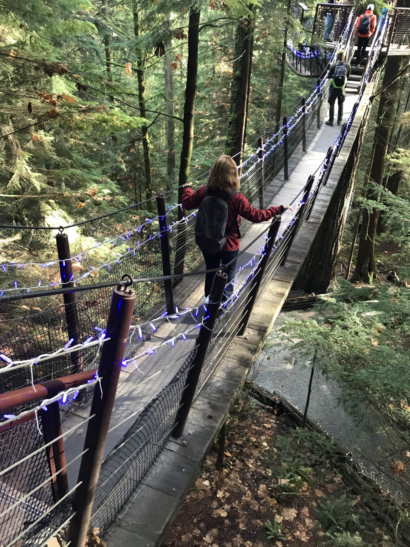 Suspension Bridges Day: Visiting Capilano and Lynn Canyon - Places and ...