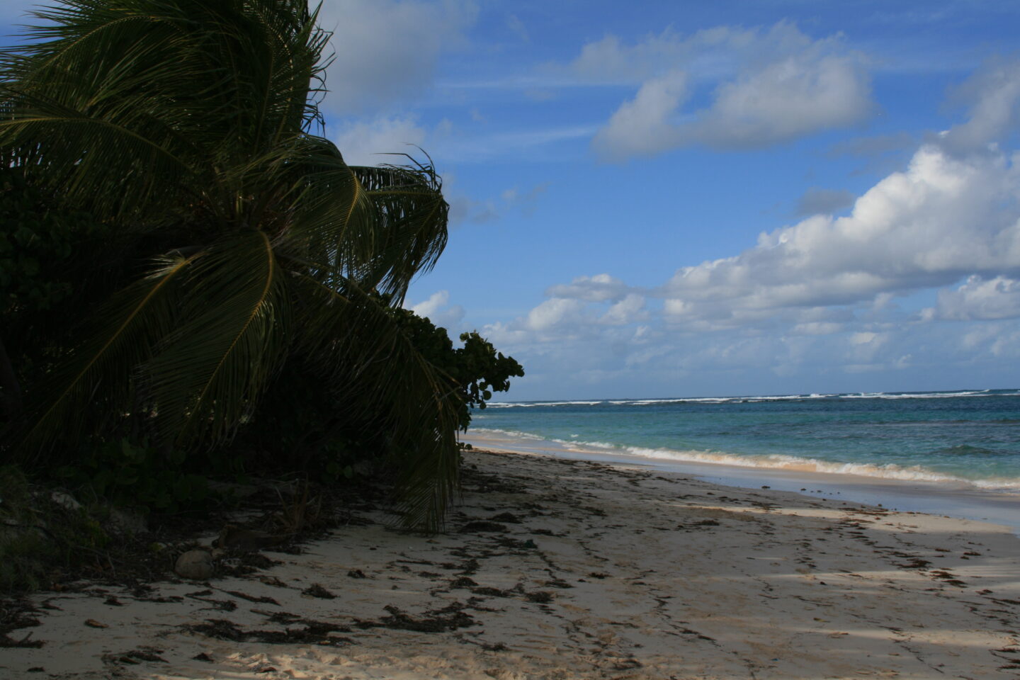 A Day Trip to Culebra Island - Places and Recipes