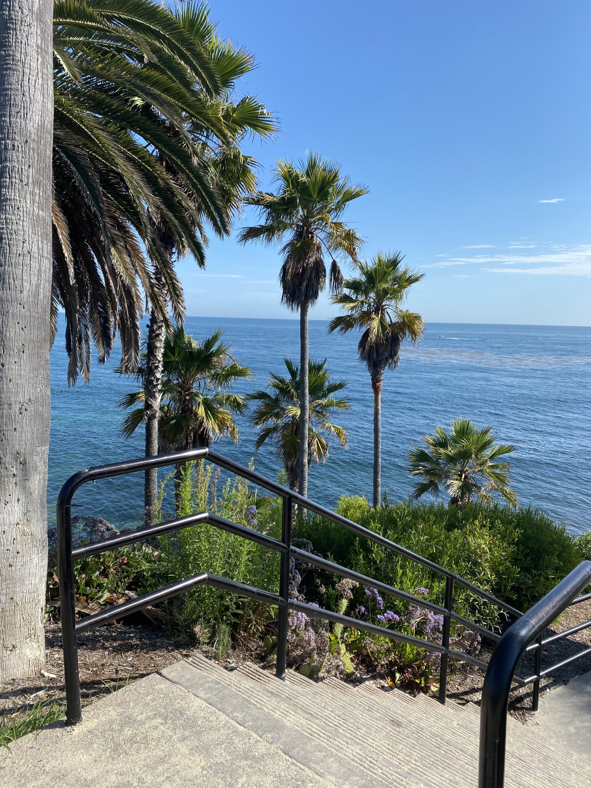 Things To Do In Laguna Beach