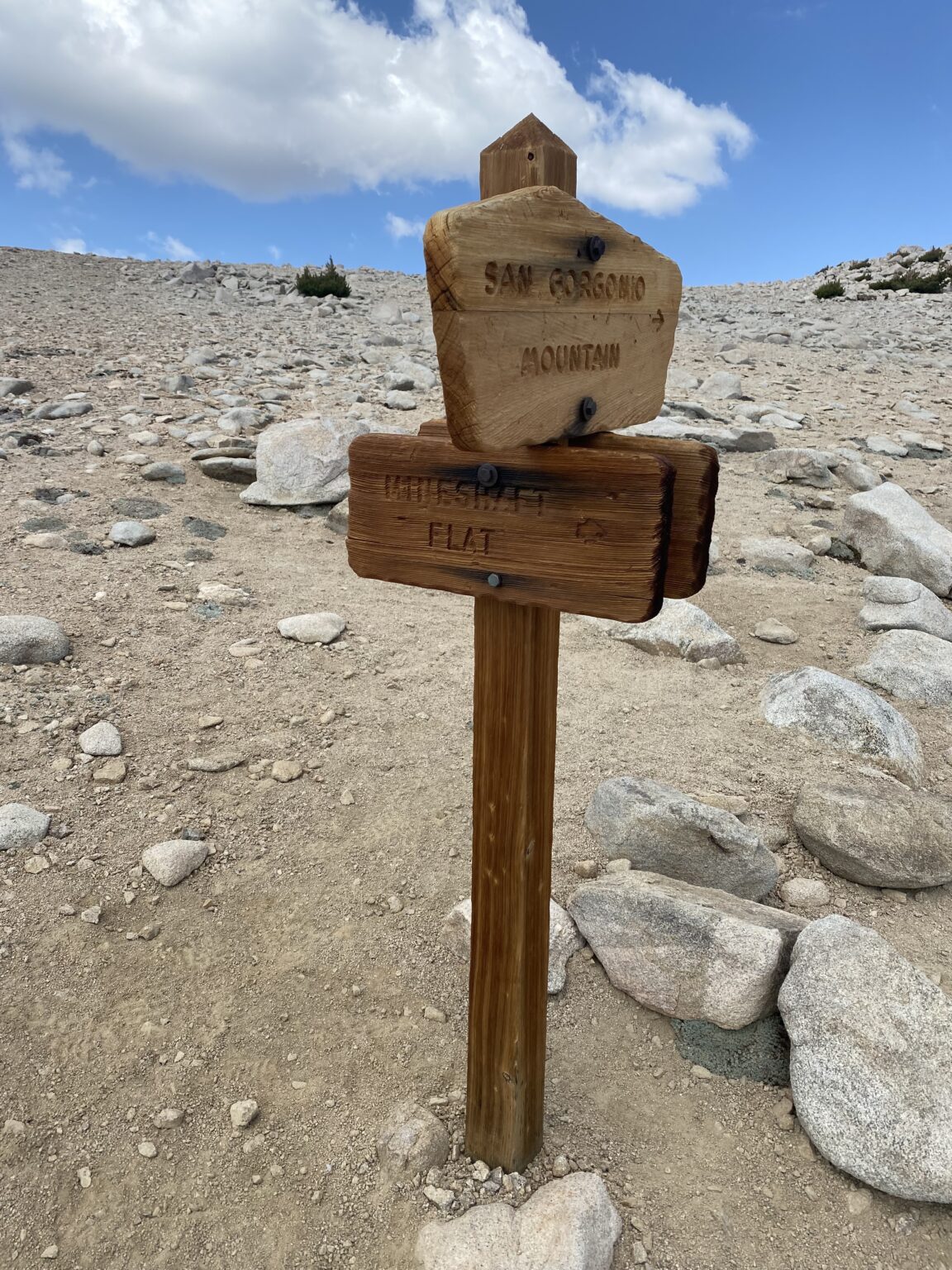 San Gorgonio Peak via Vivian Creek trail and how to train for the hike ...